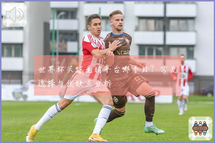 世界杯买球竞猜平台哪个好？常见选择与优缺点分析