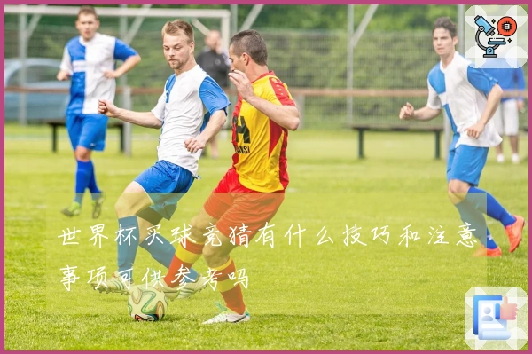 世界杯买球竞猜有什么技巧和注意事项可供参考吗