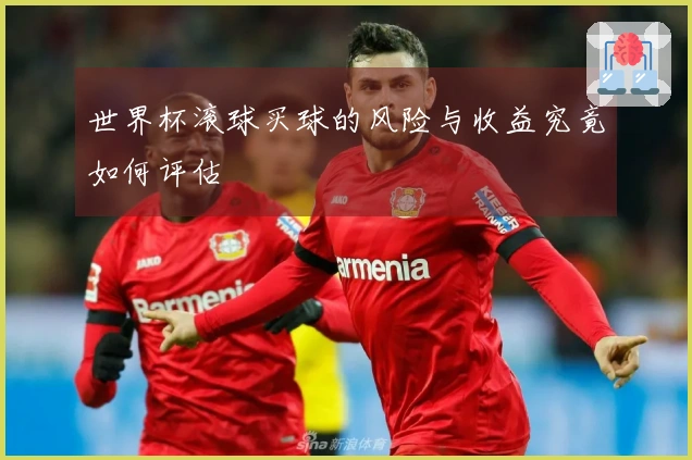 世界杯滚球买球的风险与收益究竟如何评估