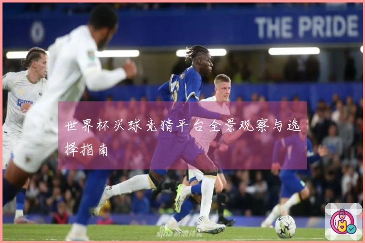 世界杯买球竞猜平台全景观察与选择指南