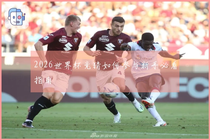 2026世界杯竞猜如何参与新手必看指南