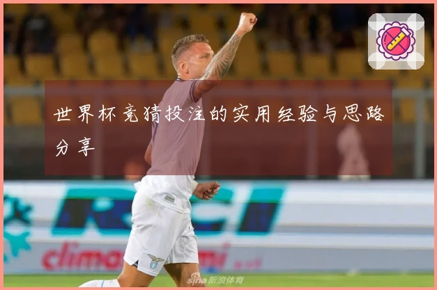 世界杯竞猜投注的实用经验与思路分享