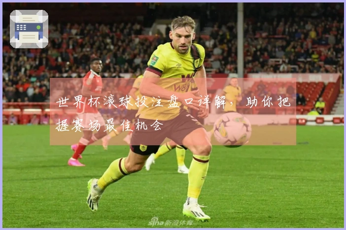 世界杯滚球投注盘口详解，助你把握赛场最佳机会