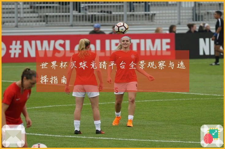 世界杯买球竞猜平台全景观察与选择指南