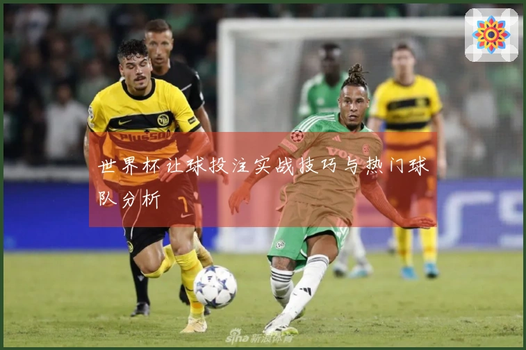 世界杯让球投注实战技巧与热门球队分析
