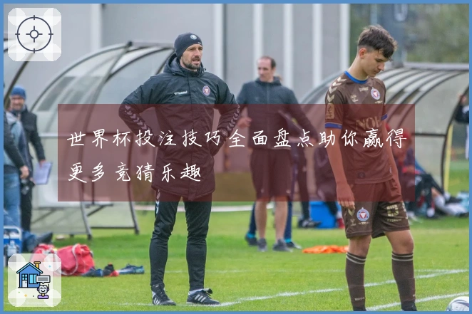 世界杯投注技巧全面盘点助你赢得更多竞猜乐趣